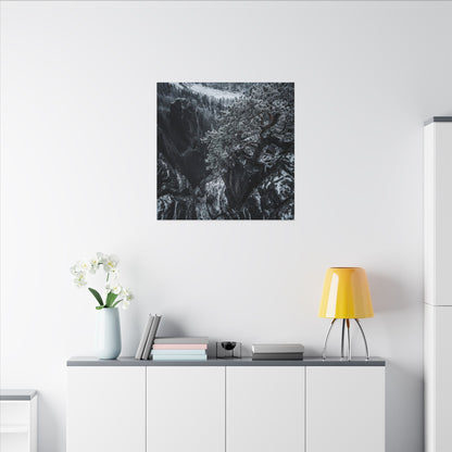 Dark Japandi Pine Tree in Dappled | Dark Texture Canvas Art