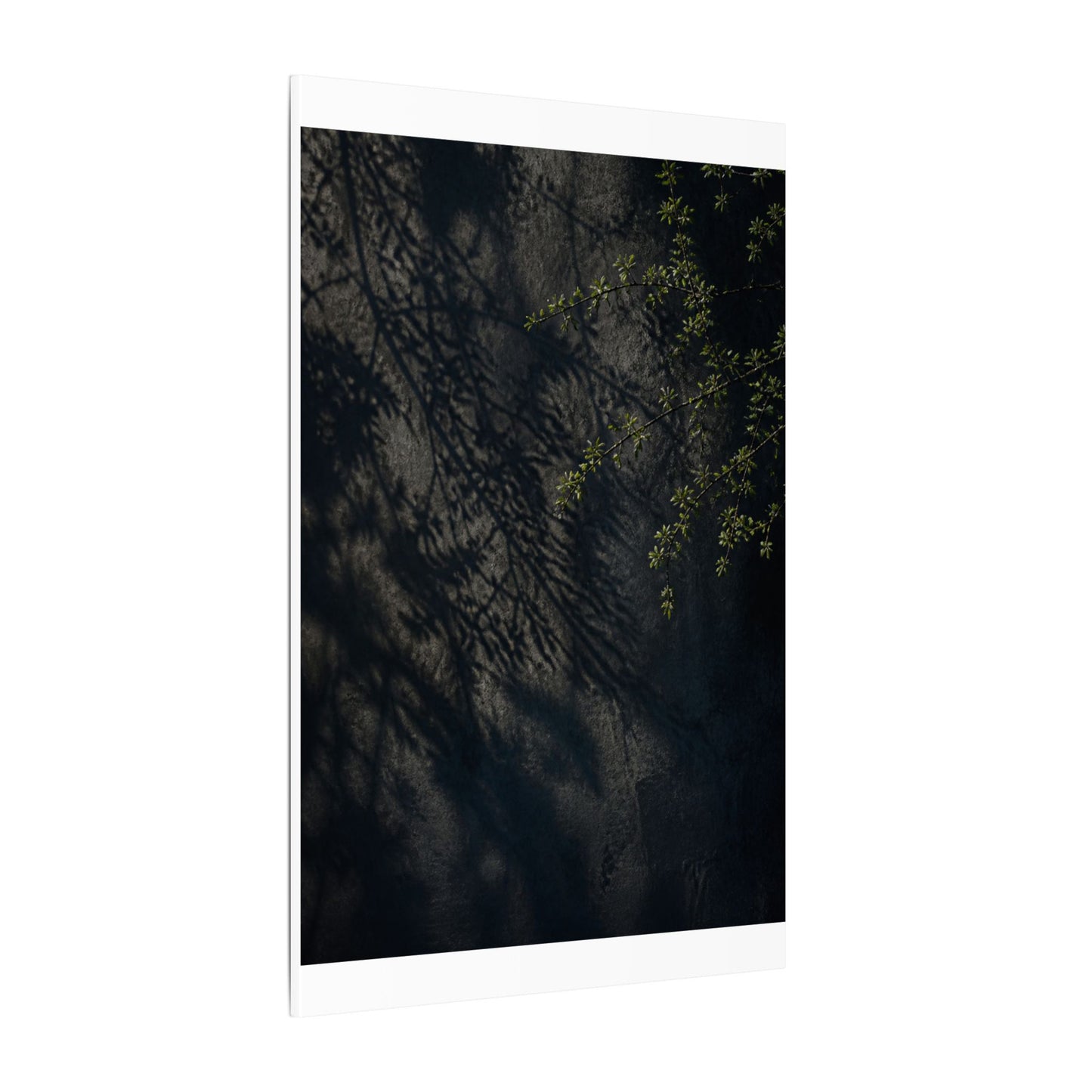 Overcast Shadow Play Canvas Art - Dark Japandi Seijaku