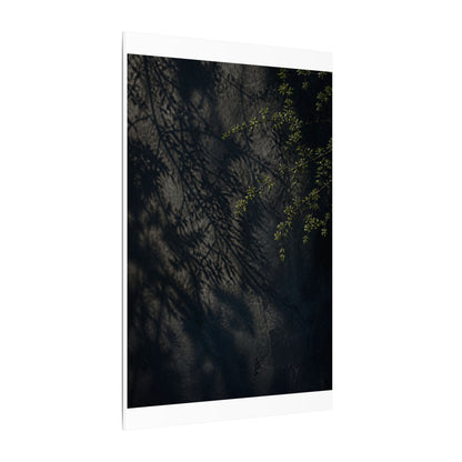 Overcast Shadow Play Canvas Art - Dark Japandi Seijaku