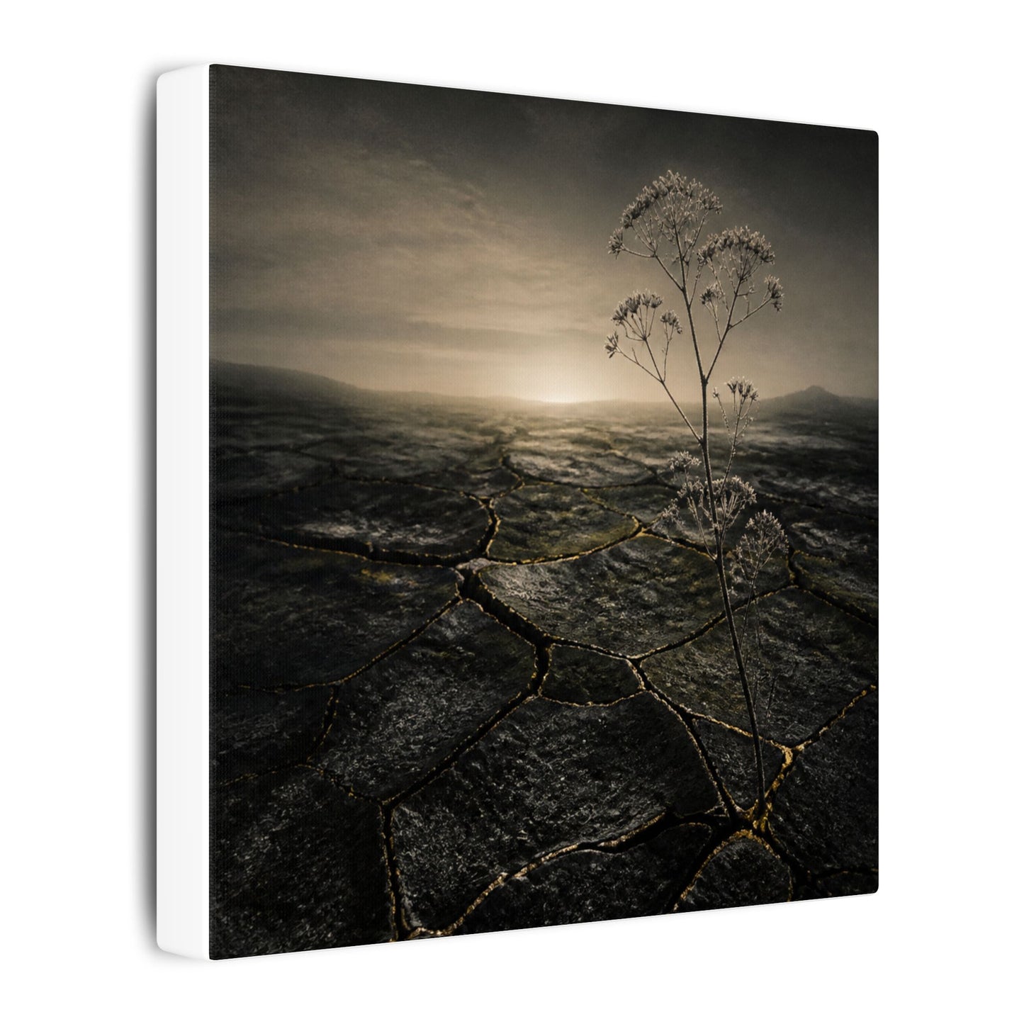 Dawn Cracked Earth Canvas Art - Dark Japandi Mono No Aware