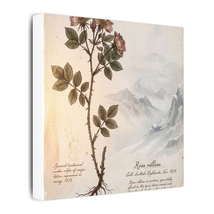 Winter Mountain Mist Herbarium Canvas Art | Earthy Decor