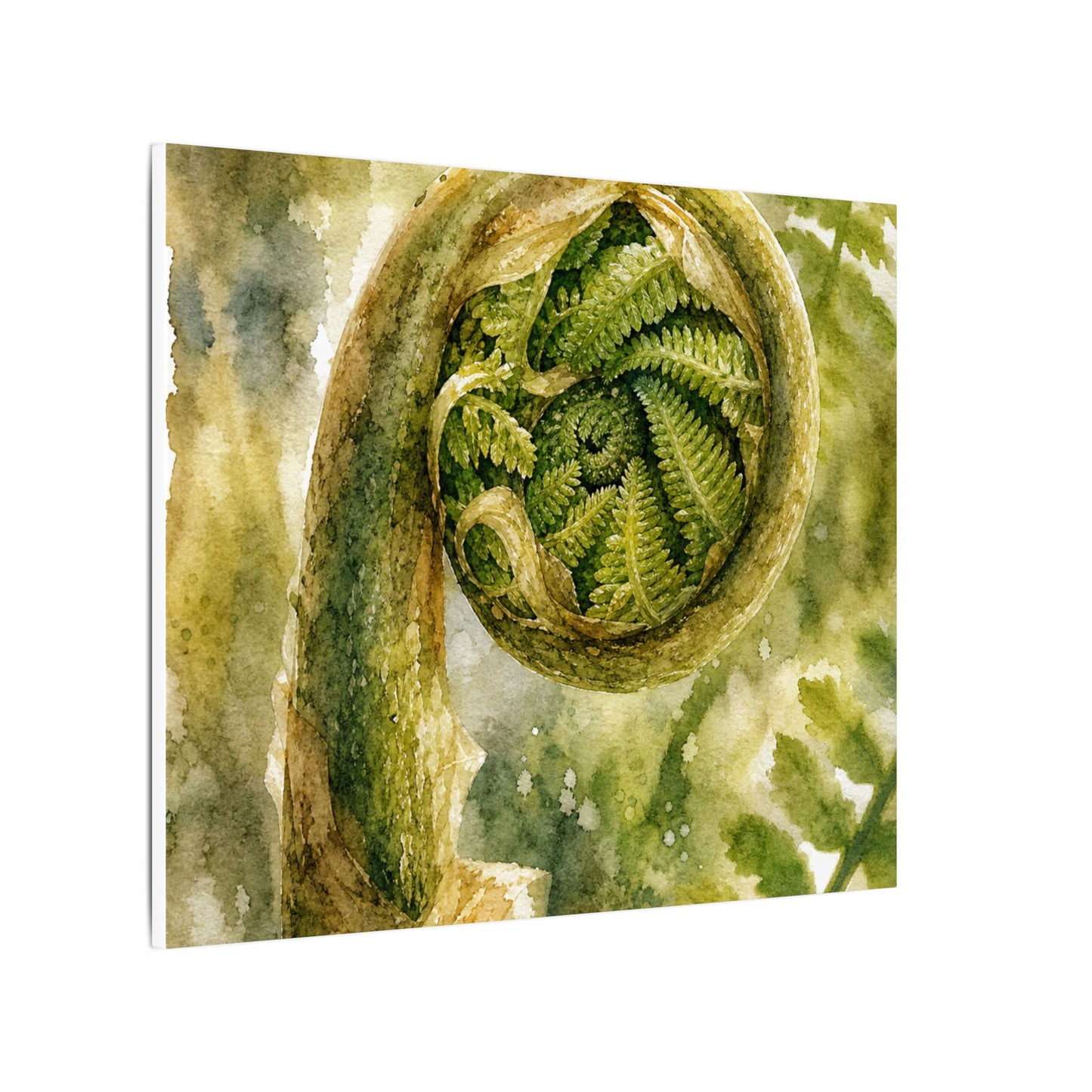 Japandi Fern Unfurling in Dappled | Watercolor Canvas Art