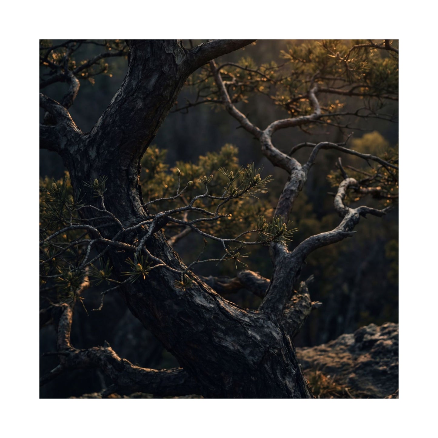 Pine Tree Spring Wall Art Print | Dark Japandi Sophisticated Design