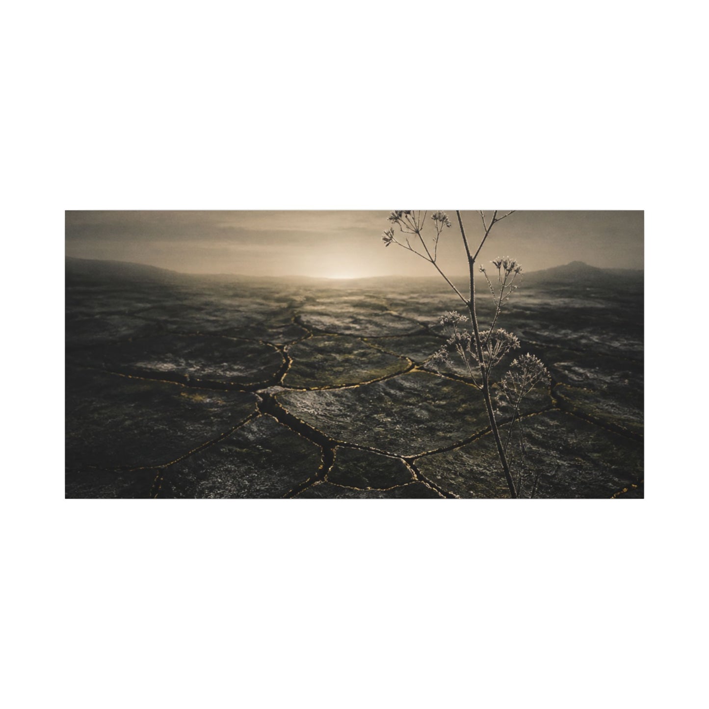 Dawn Cracked Earth Canvas Art - Dark Japandi Mono No Aware