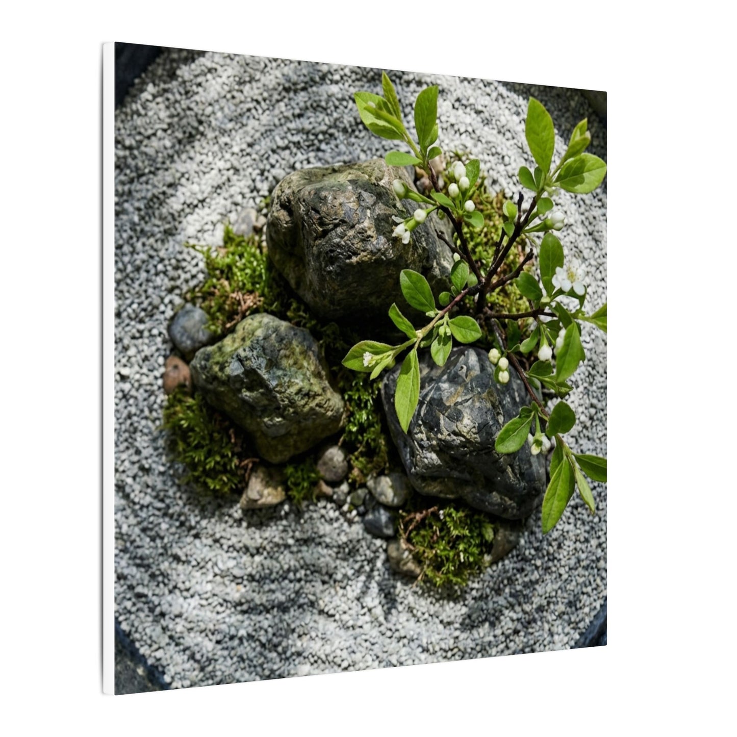 Zen Ceramic Bowl in Dappled | Karesansui Canvas Art