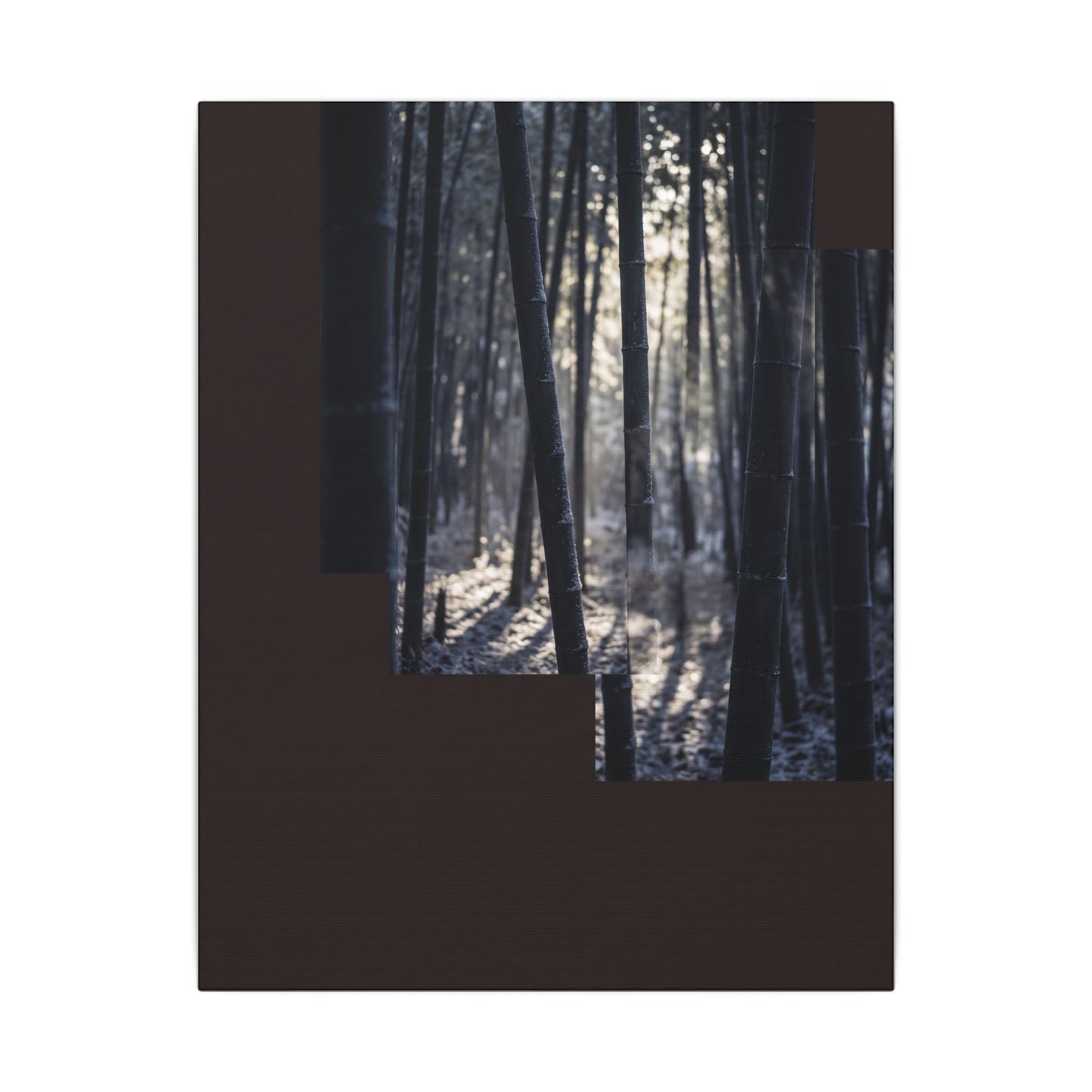 Bamboo Grove Canvas Art | Winter Dark Japandi Moody Minimal Art