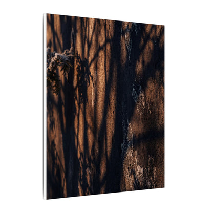Golden Hour Shadow Play Canvas Art - Dark Japandi Fukinsei