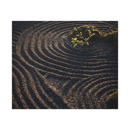 Spring Rock Garden Shadow Zen Canvas Art | Atmospheric Decor