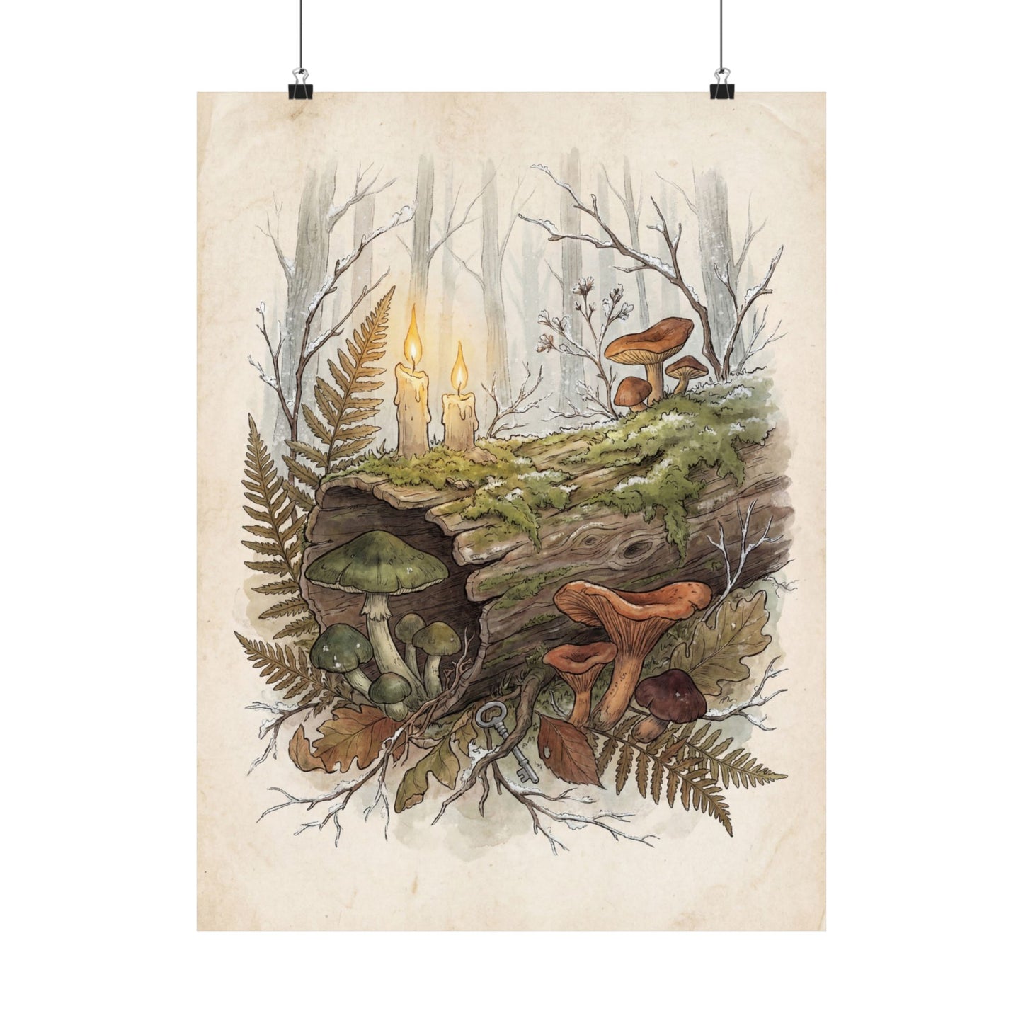 Winter Wild Mushrooms Herbarium Wall Art Print | Rustic Decor Art Print