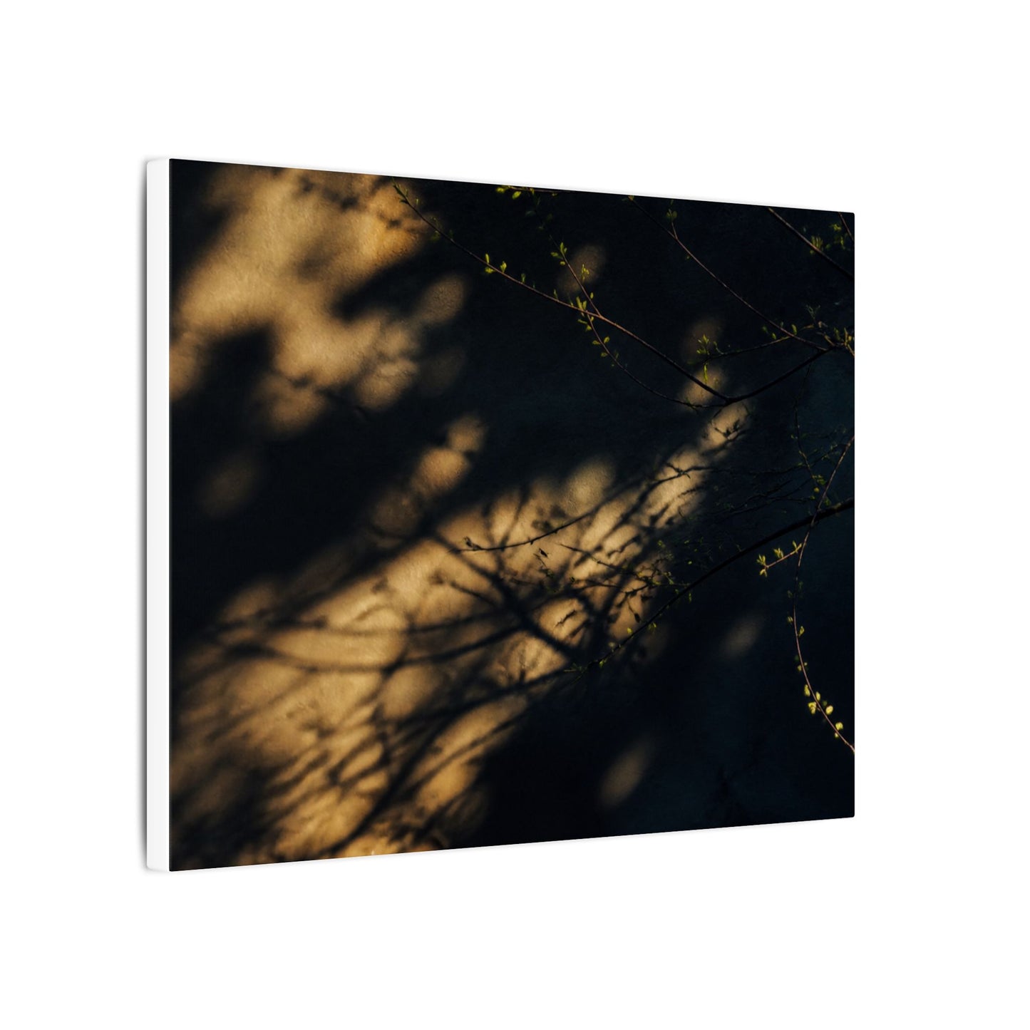 Moody Shadow Play Canvas Art - Moody Minimal Dark Japandi
