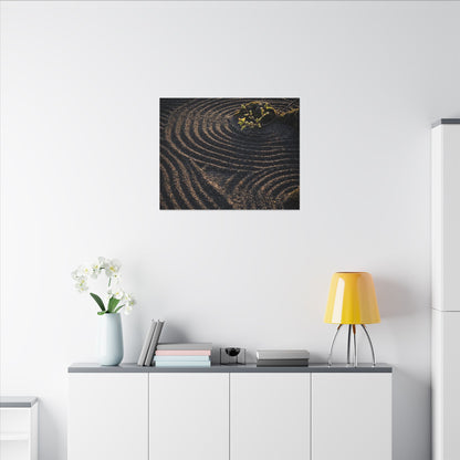 Spring Rock Garden Shadow Zen Canvas Art | Atmospheric Decor