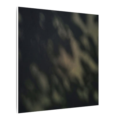Dappled Shadow Play Canvas Art - Dark Japandi Ma