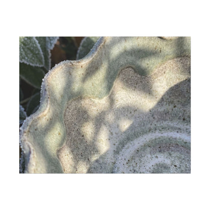Dappled Ceramic Bowl Canvas Art - Japandi Seijaku
