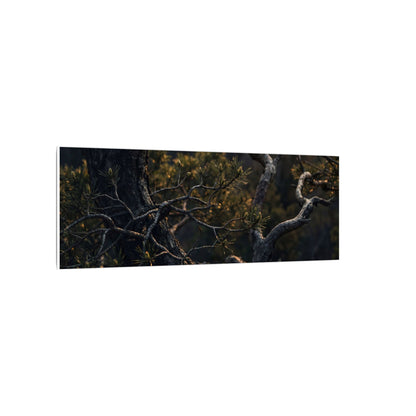 Moody Pine Tree Canvas Art - Moody Minimal Dark Japandi