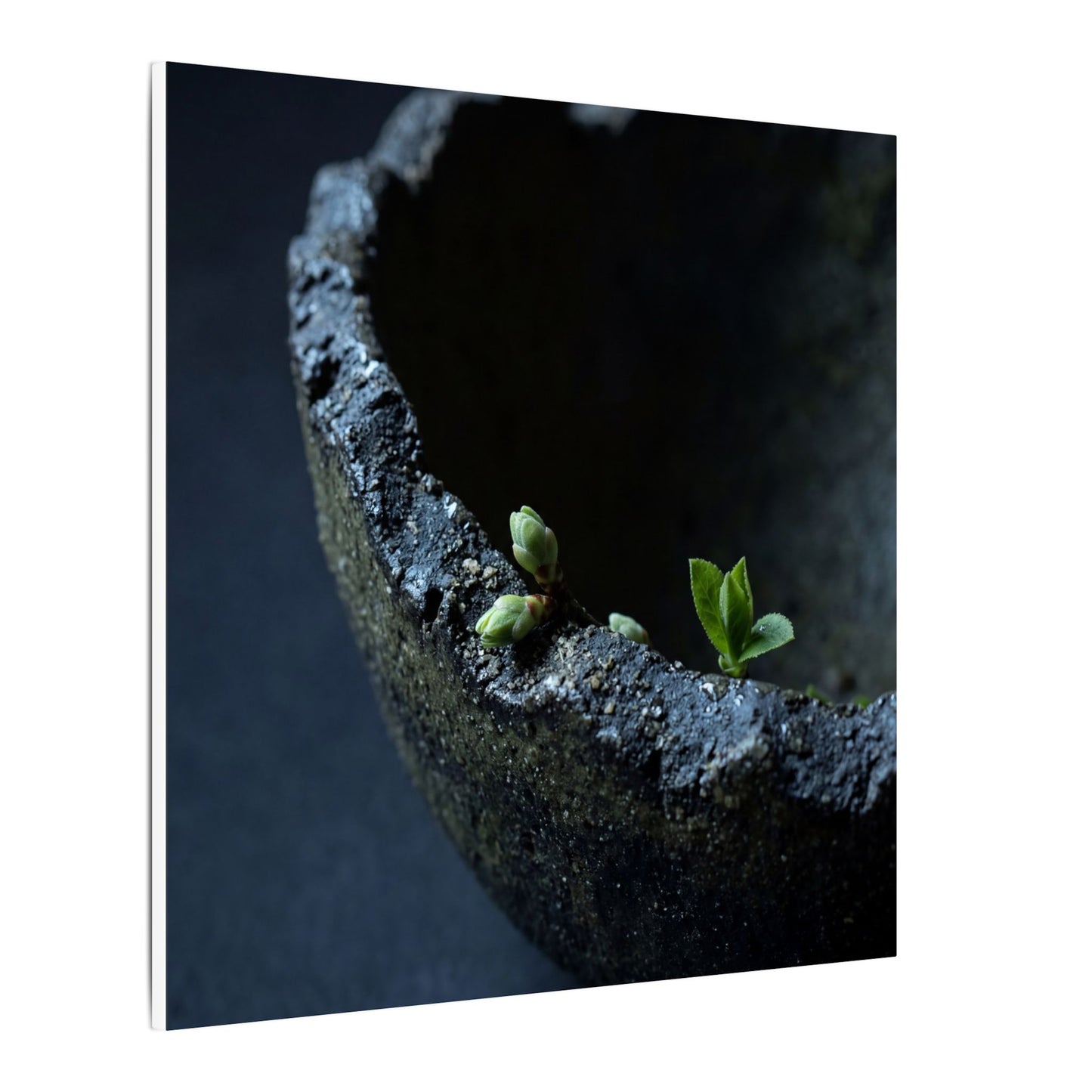 Dark Japandi Ceramic Bowl in Moonlight | Moody Minimal Canvas Art