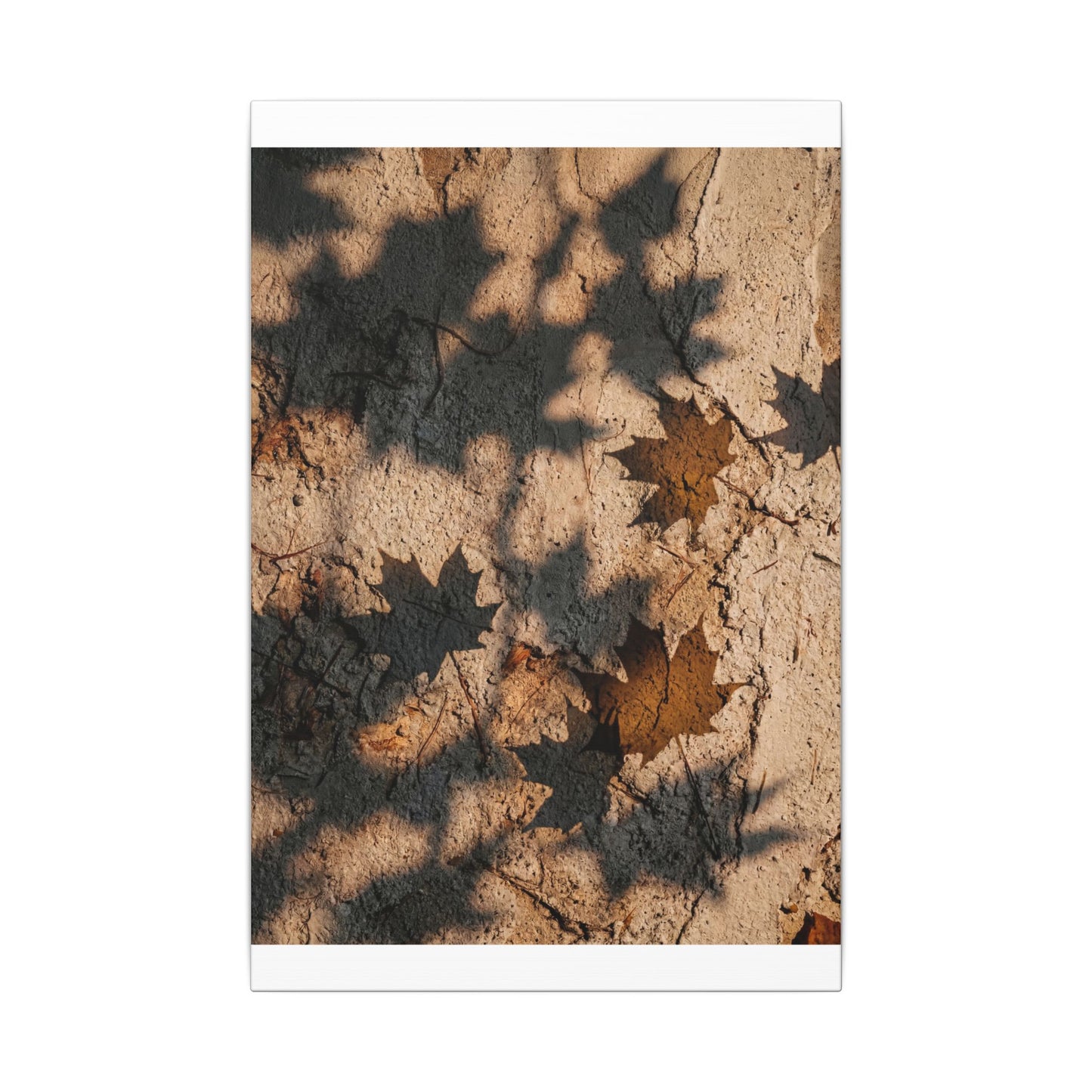 Cozy Shadow Play Canvas Art - Texture Japandi