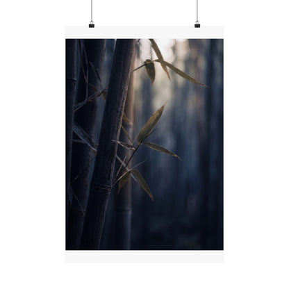 Dark Japandi Bamboo Grove in Dawn | Moody Minimal Wall Art Print Art Print