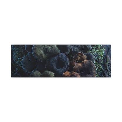 Wild Mushrooms Moody Minimal Canvas Art | Moody Dark Japandi Art