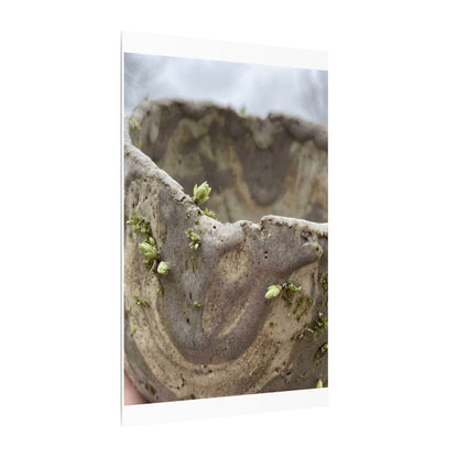 Overcast Ceramic Bowl Canvas Art - Japandi Fukinsei