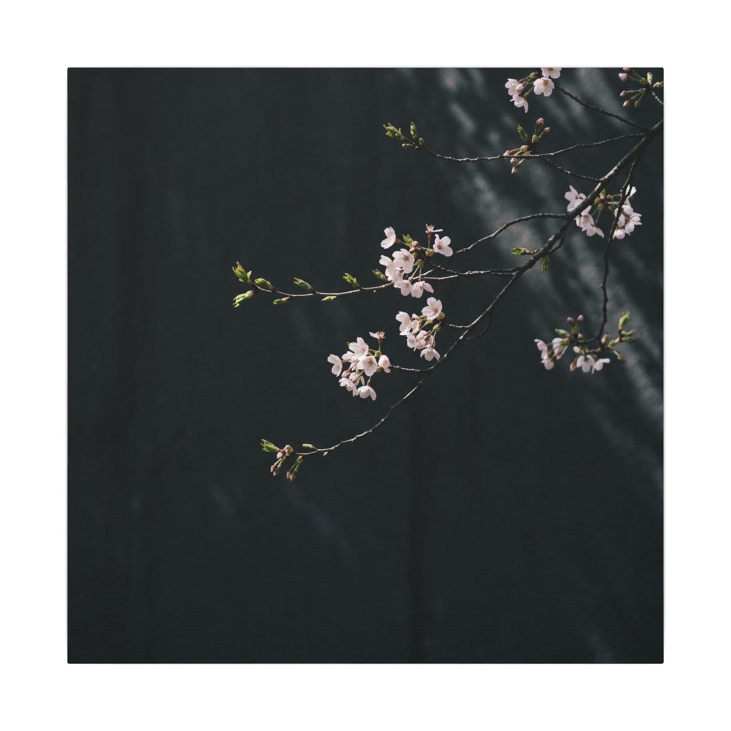 Cherry Blossom Spring Canvas Art | Dark Japandi Sophisticated Design