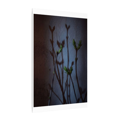 Shadow Play Spring Canvas Art | Dark Japandi Sophisticated Design