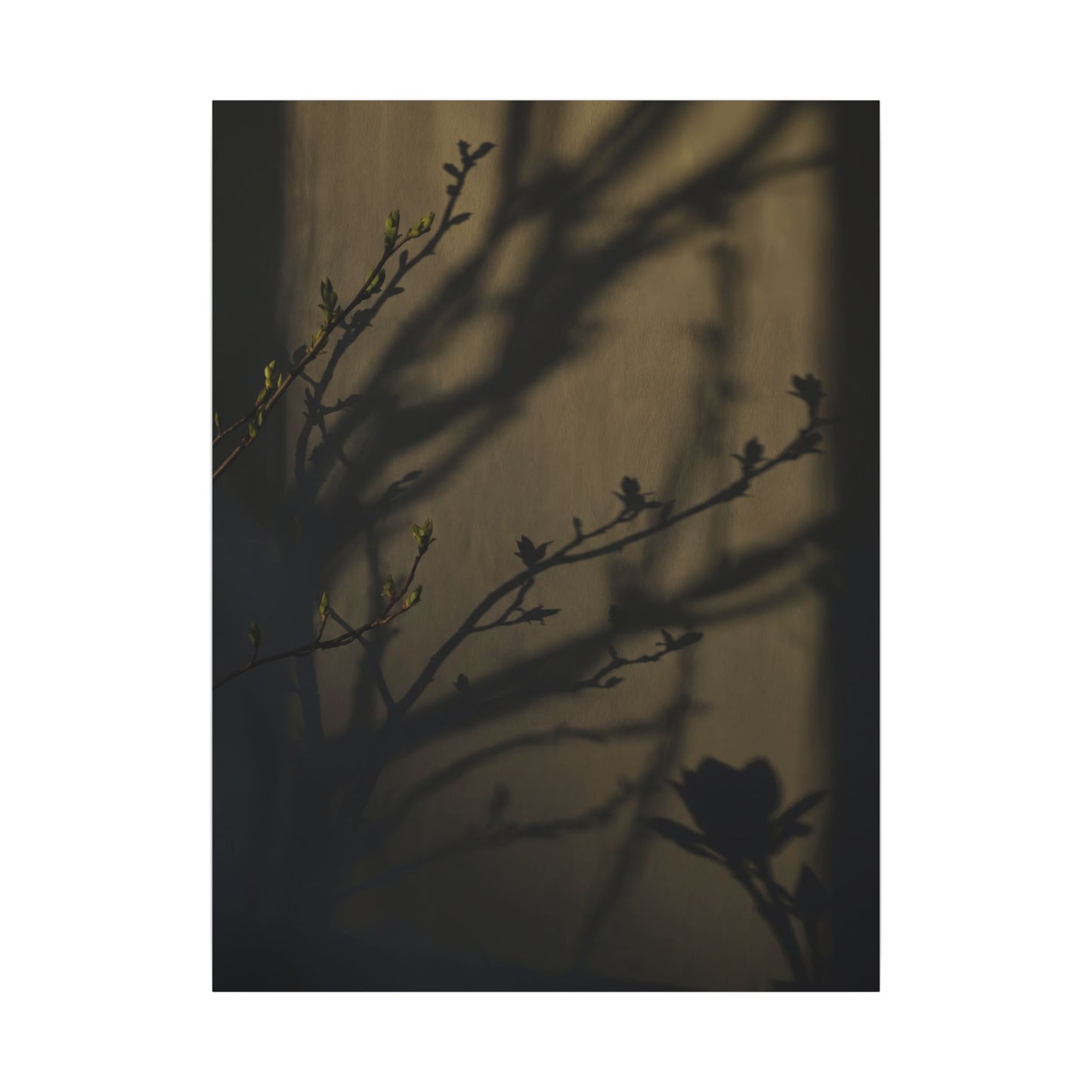 Seijaku Shadow Play Canvas Art - Dark Japandi Charcoal Ink