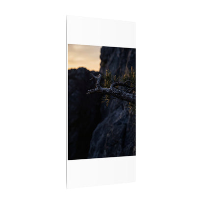 Pine Tree Moody Minimal Canvas Art | Sophisticated Dark Japandi Art