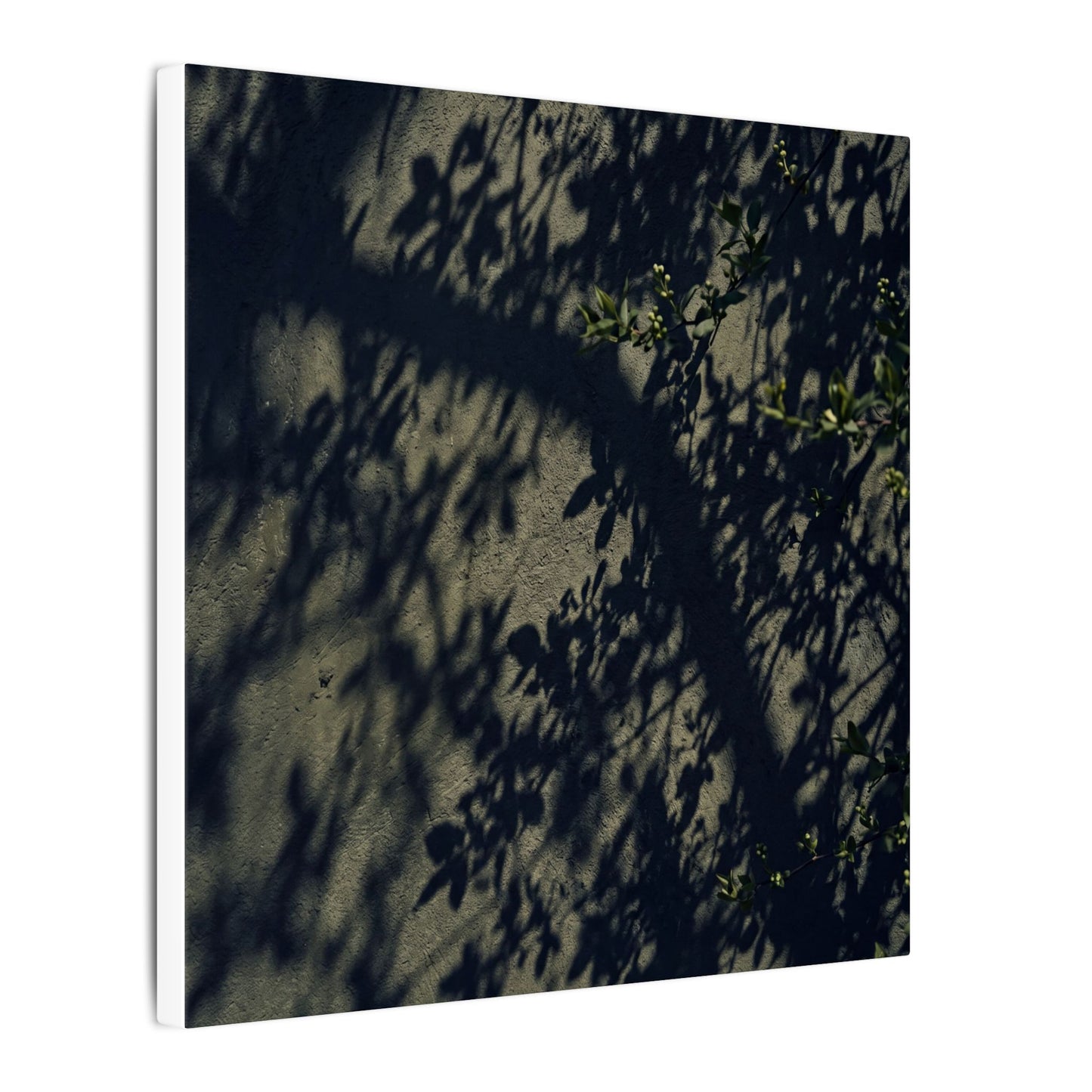 Atmospheric Shadow Play Canvas Art - Moody Minimal Dark Japandi