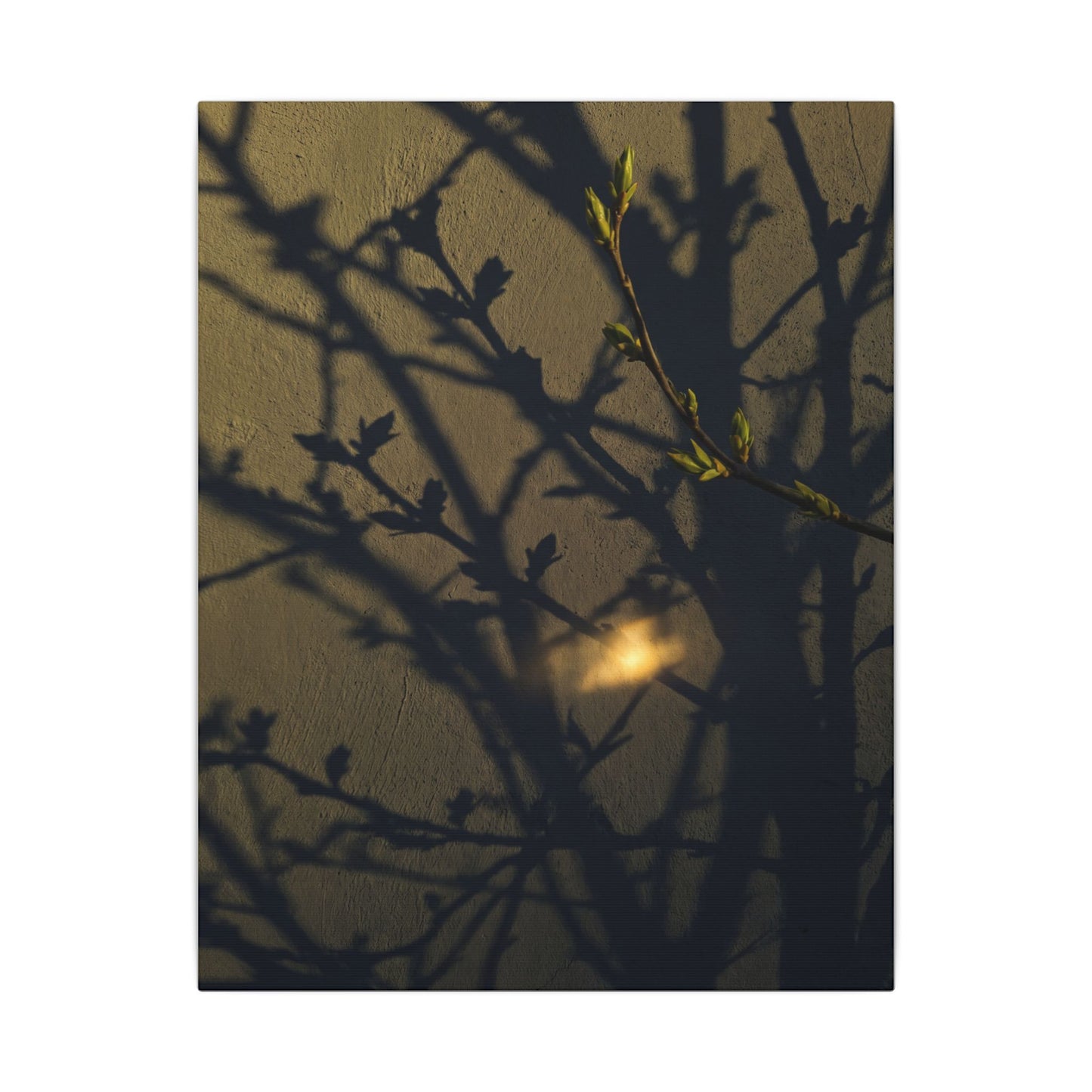 Bold Shadow Play Canvas Art - Moody Minimal Dark Japandi