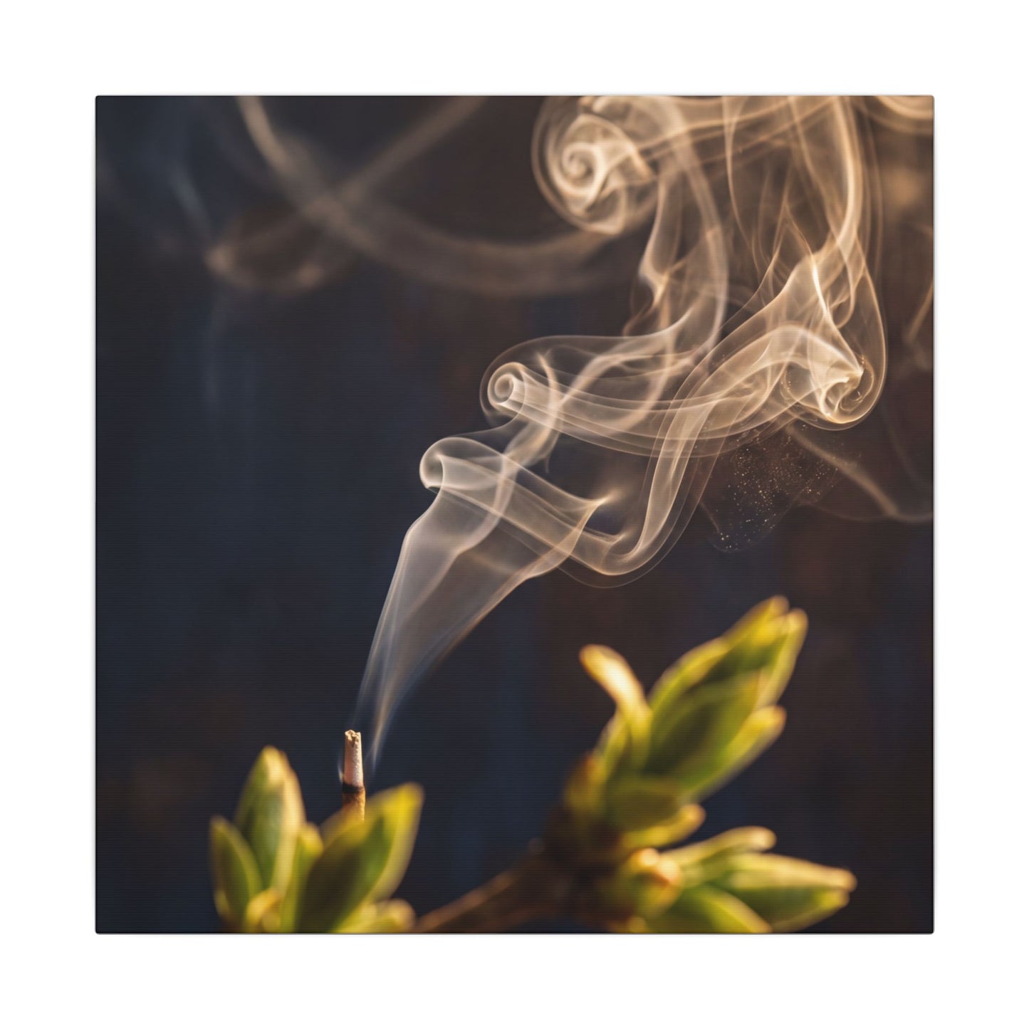 Golden Hour Incense Smoke Canvas Art - Dark Japandi Kanso