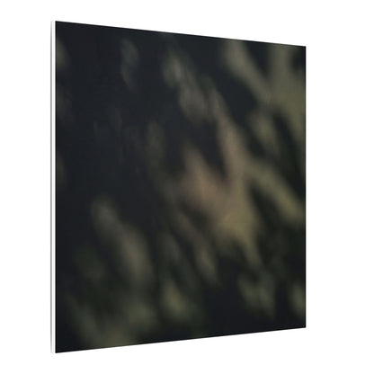 Dappled Shadow Play Canvas Art - Dark Japandi Ma