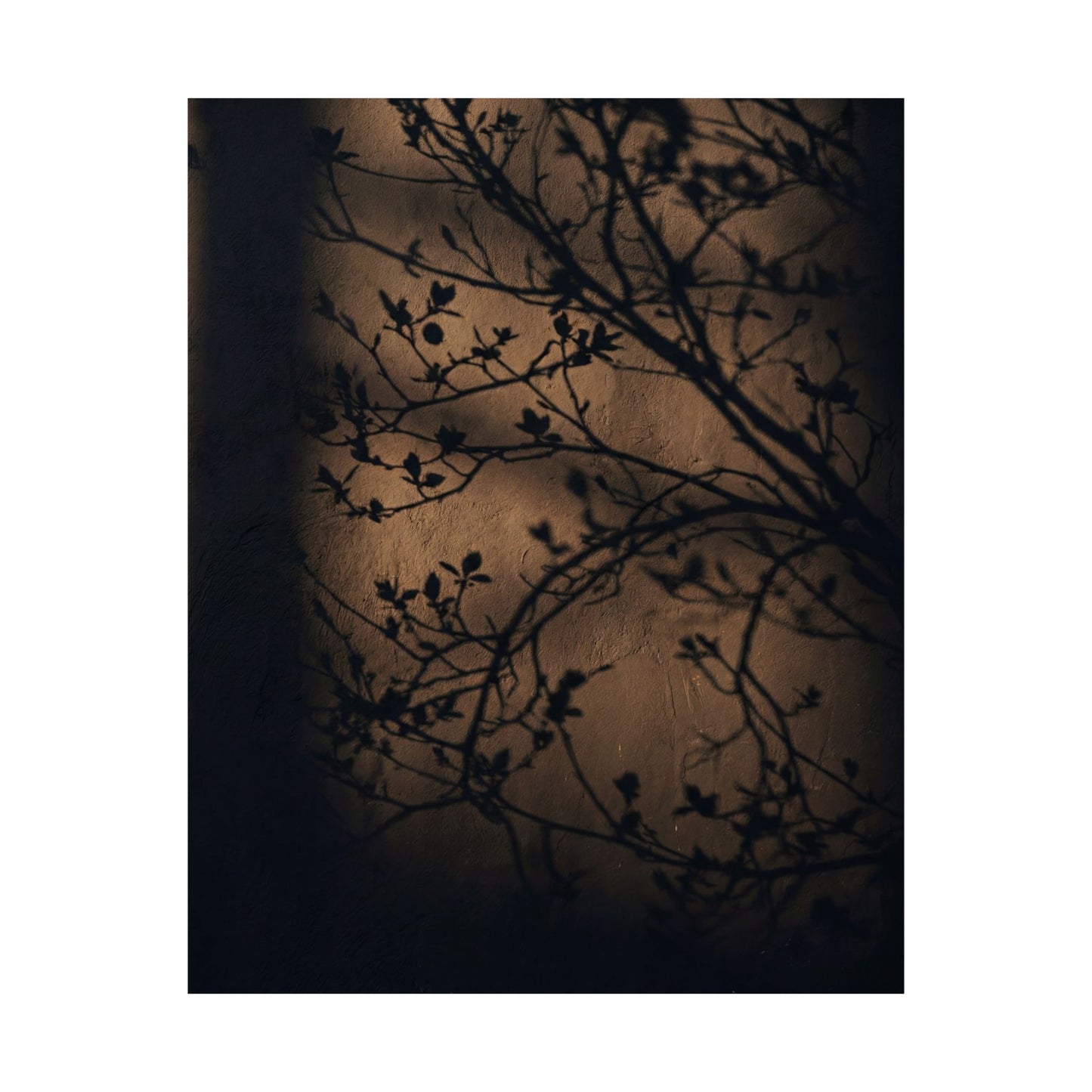 Sophisticated Shadow Play Wall Art Print - Shadow Zen Dark Japandi