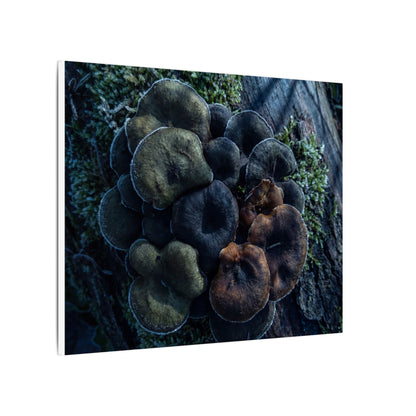 Wild Mushrooms Moody Minimal Canvas Art | Moody Dark Japandi Art