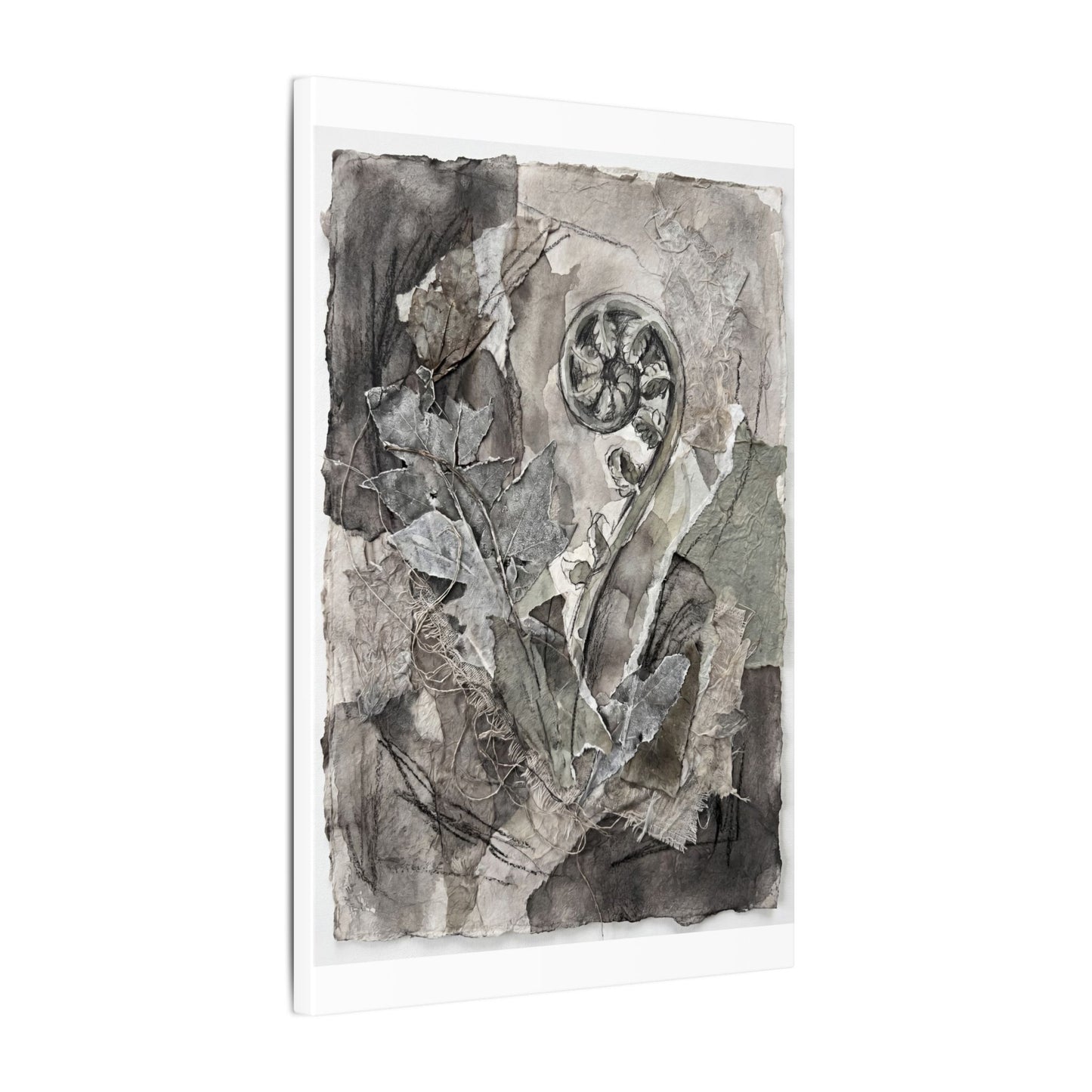 Japandi Fern Unfurling in Overcast | Texture Canvas Art