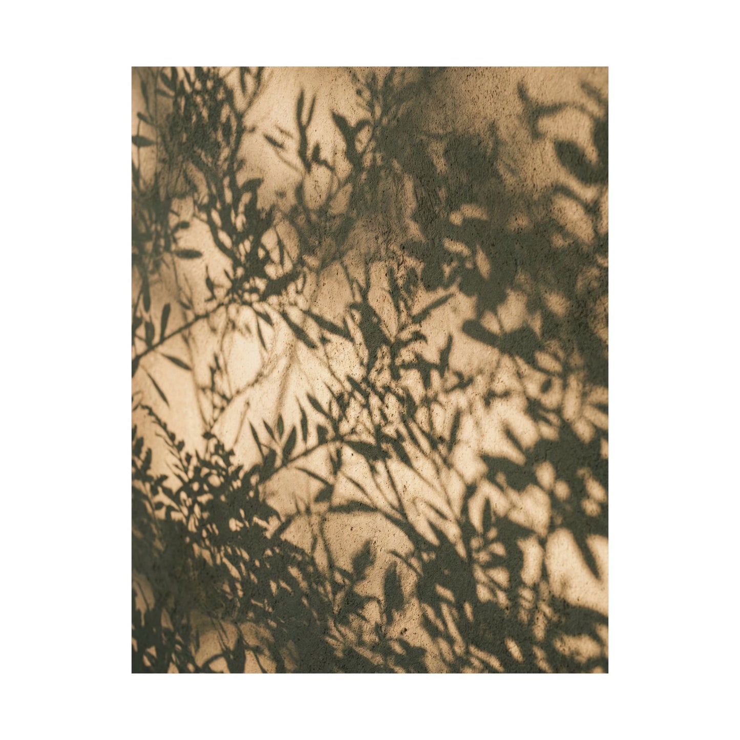 Shibui Shadow Play Wall Art Print - Japandi Minimal Line
