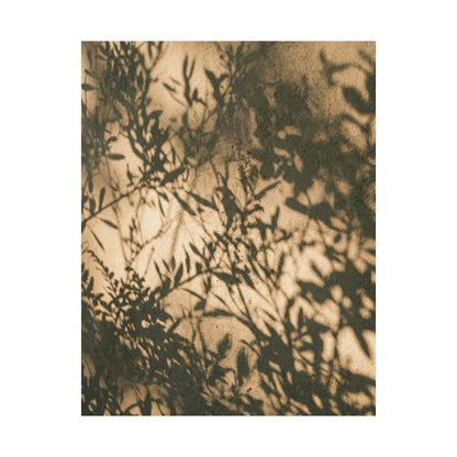 Shibui Shadow Play Wall Art Print - Japandi Minimal Line