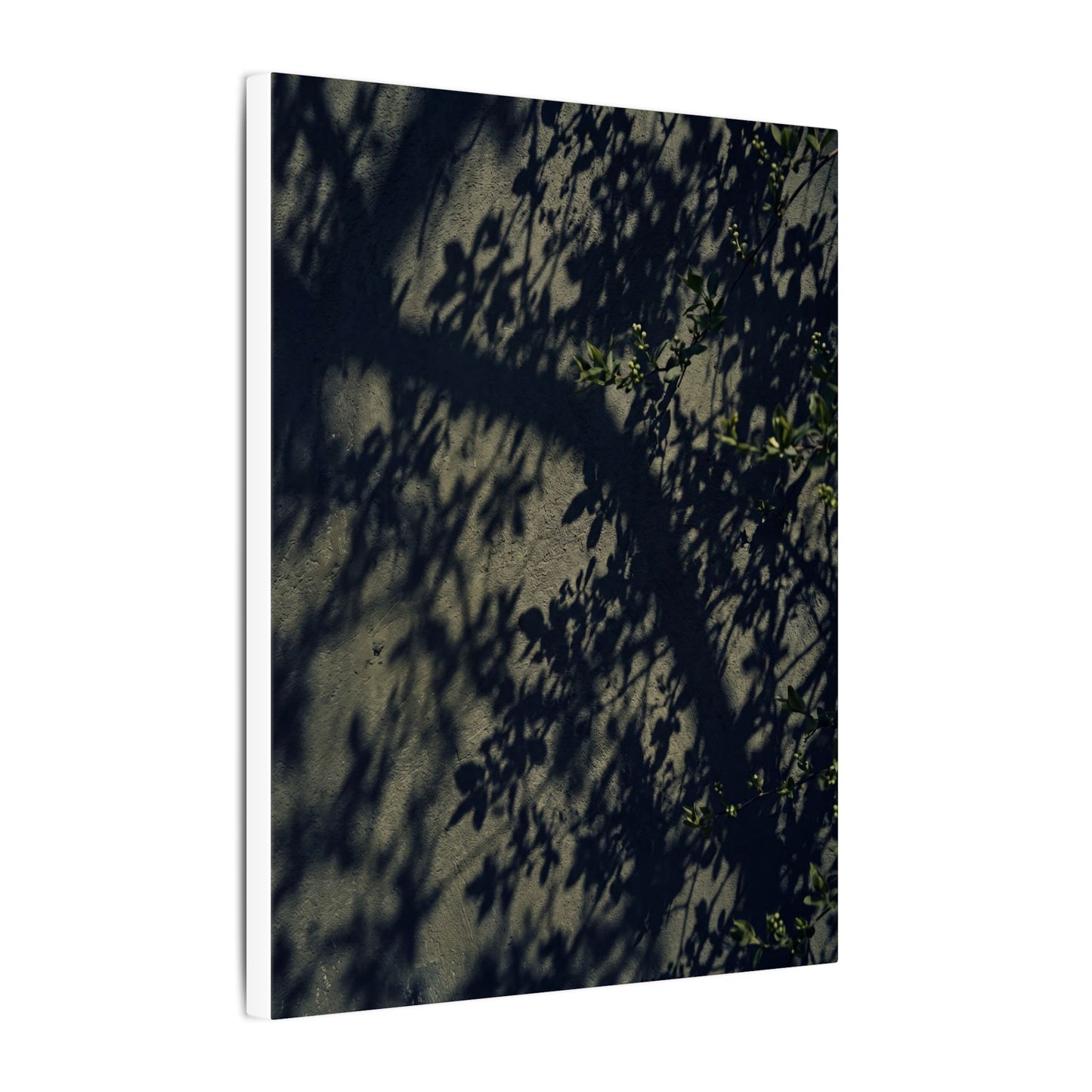 Atmospheric Shadow Play Canvas Art - Moody Minimal Dark Japandi