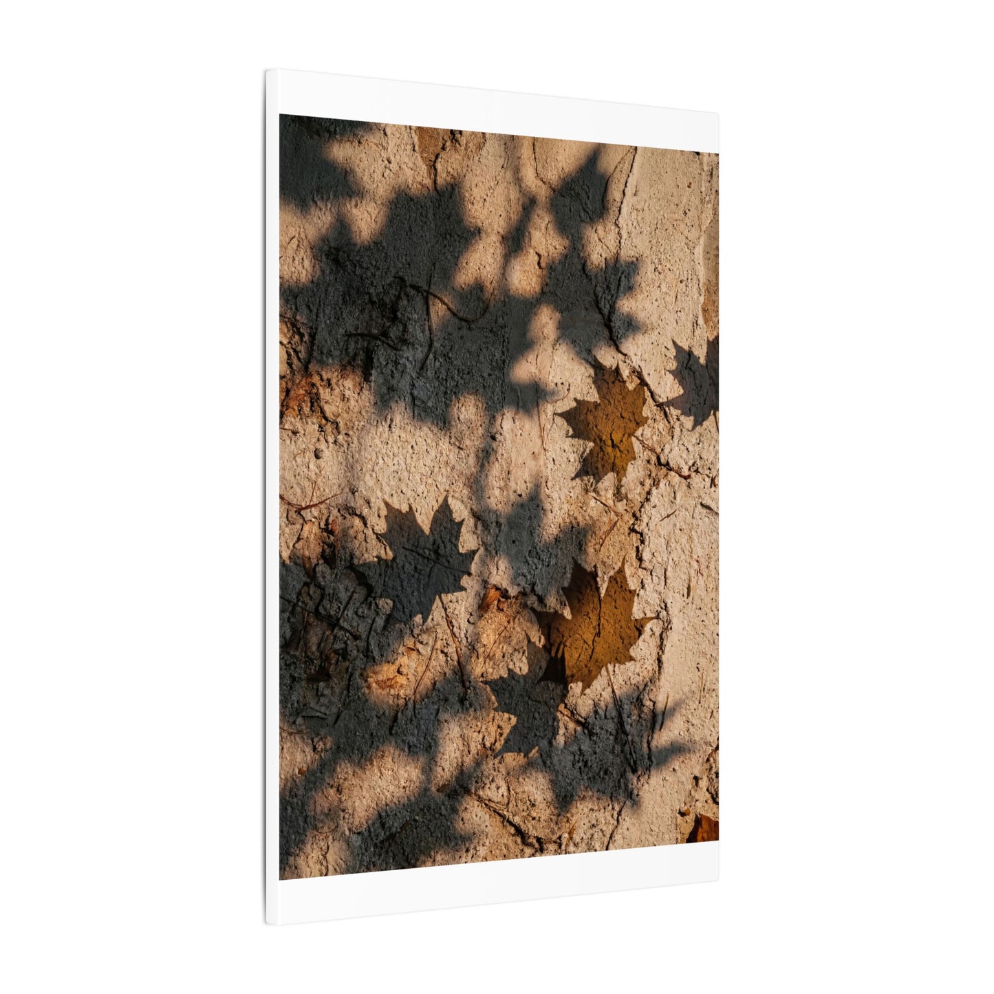 Cozy Shadow Play Canvas Art - Texture Japandi