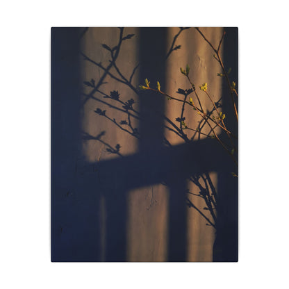 Shadow Play Canvas Art | Spring Dark Japandi Shadow Zen Art