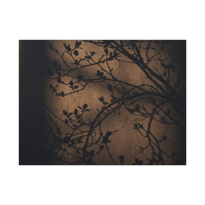 Dark Japandi Shadow Play in Golden Hour | Shadow Zen Canvas Art
