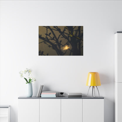 Bold Shadow Play Canvas Art - Moody Minimal Dark Japandi