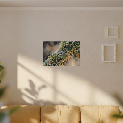 Winter Moss Close Up Watercolor Canvas Art | Neutral Decor