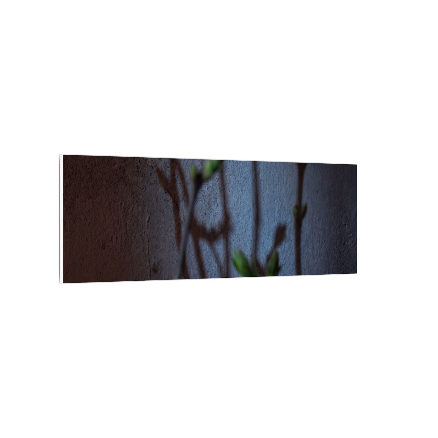 Shadow Play Spring Canvas Art | Dark Japandi Sophisticated Design