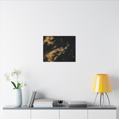 Moody Shadow Play Canvas Art - Moody Minimal Dark Japandi