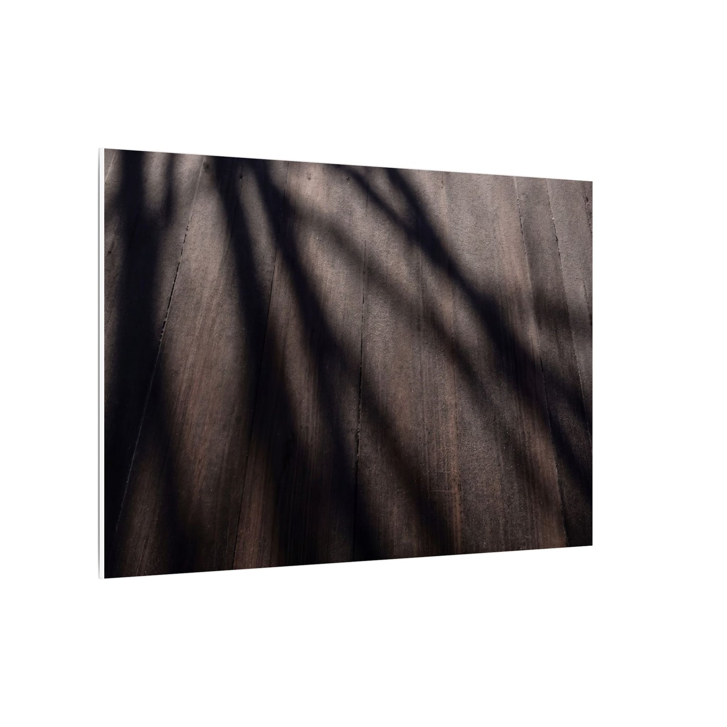 Dark Japandi Shadow Play in Dawn | Moody Minimal Canvas Art