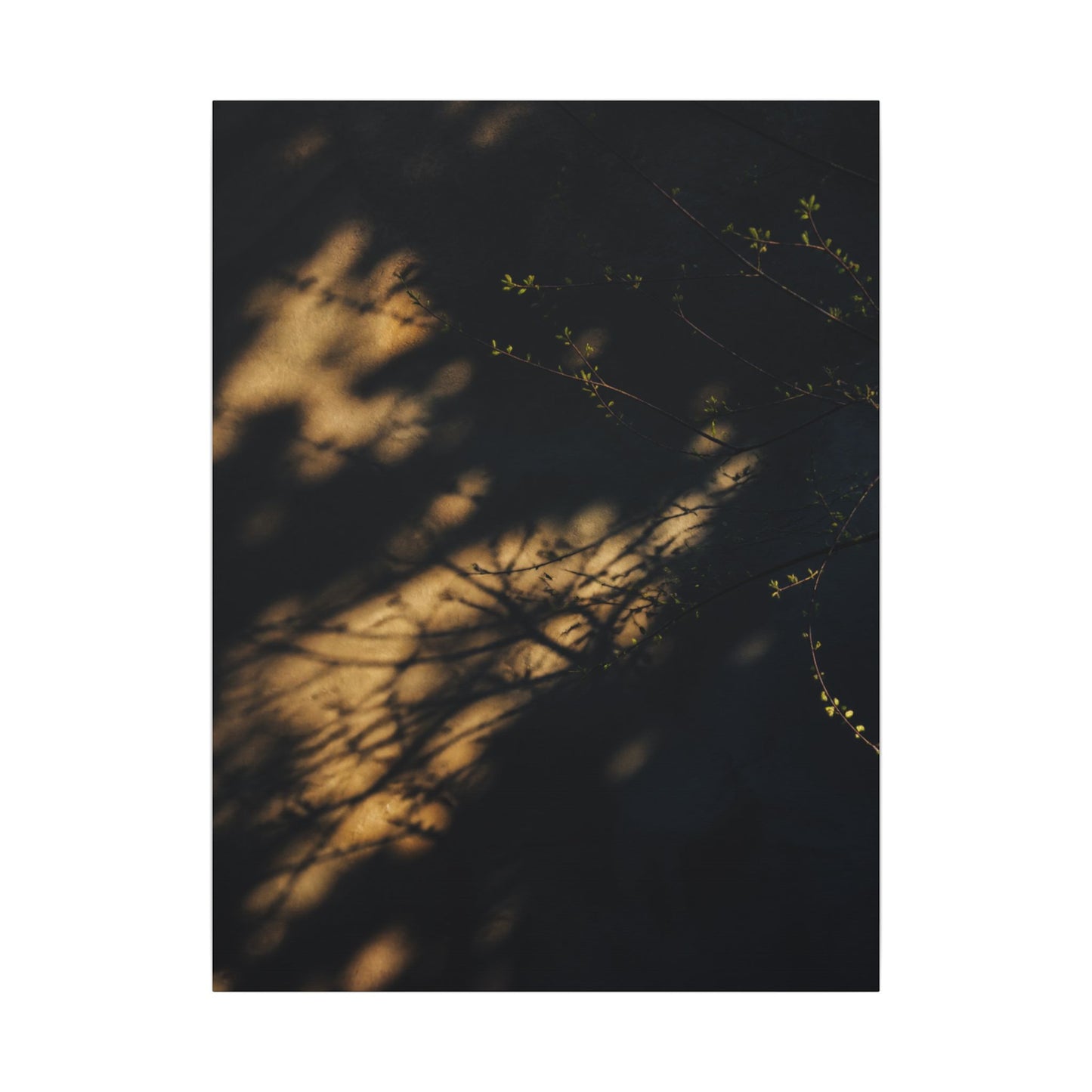 Moody Shadow Play Canvas Art - Moody Minimal Dark Japandi