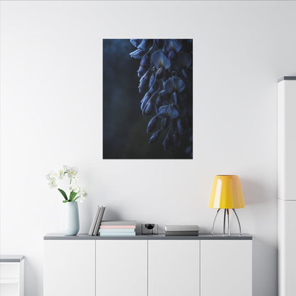 Winter Wisteria Shadow Zen Canvas Art | Atmospheric Decor