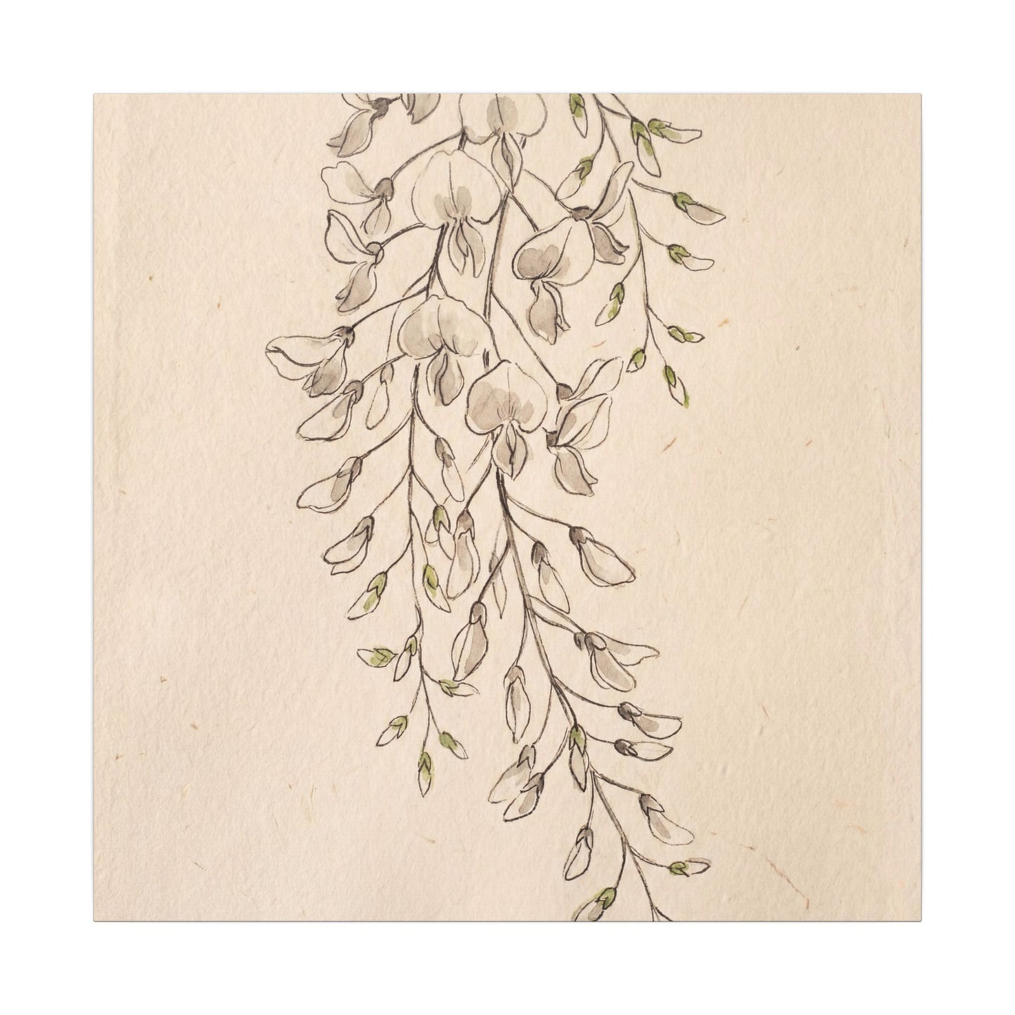 Japandi Wisteria in Golden Hour | Minimal Line Canvas Art
