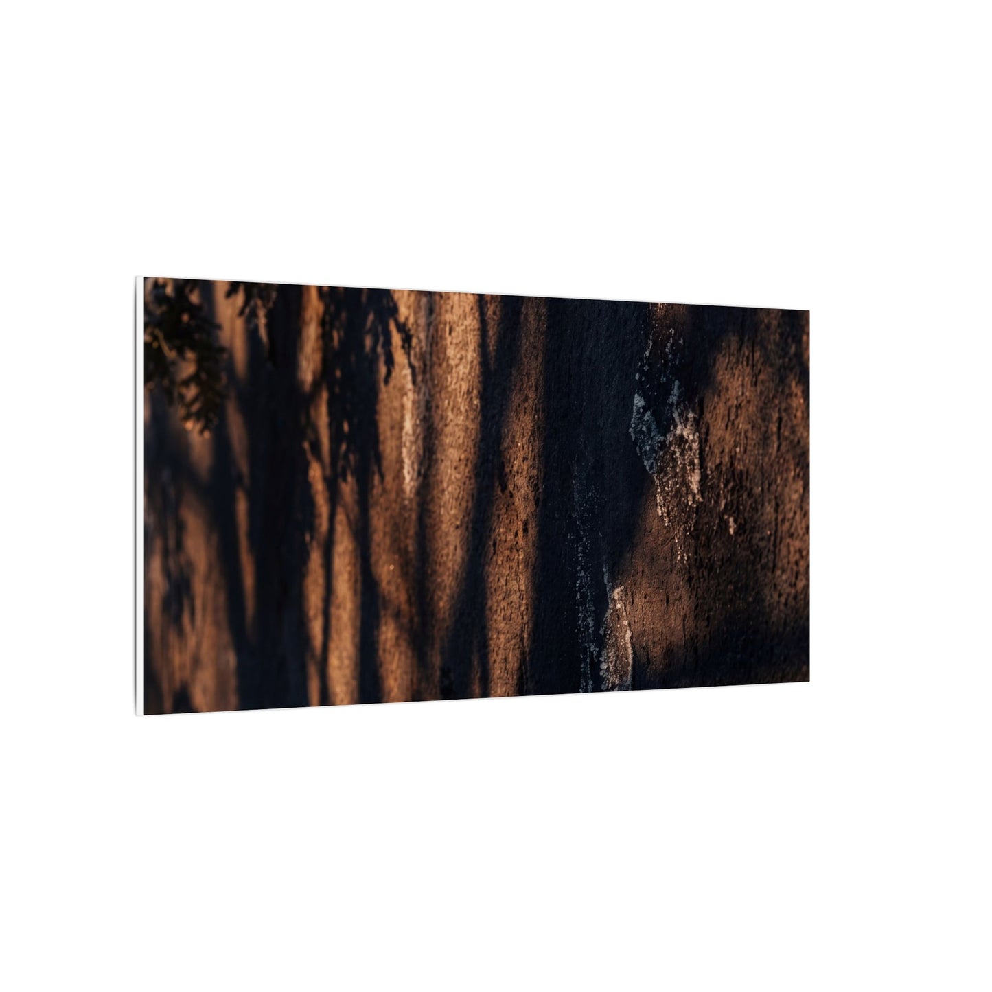 Golden Hour Shadow Play Canvas Art - Dark Japandi Fukinsei
