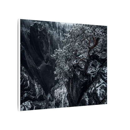 Dark Japandi Pine Tree in Dappled | Dark Texture Canvas Art